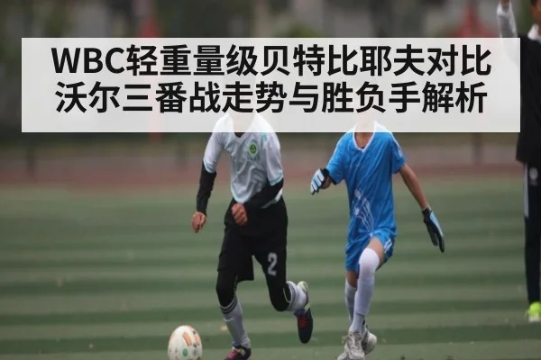 WBC轻重量级贝特比耶夫对比沃尔三番战走势与胜负手解析